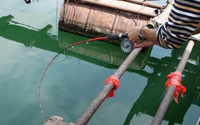 冬季伐桿釣魚技巧_伐桿釣魚視頻_手桿釣魚 釣魚調(diào)漂看漂技巧