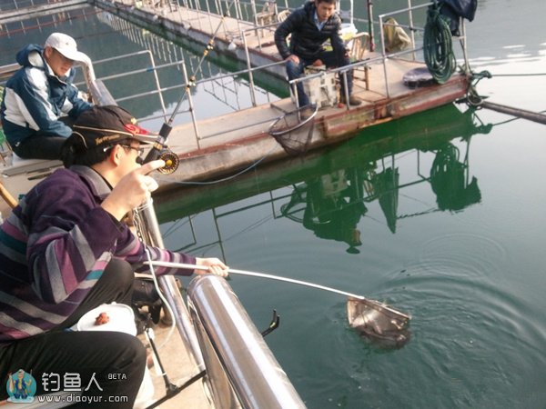 伐桿釣魚視頻_手桿釣魚 釣魚調(diào)漂看漂技巧_冬季伐桿釣魚技巧