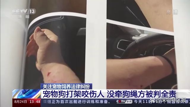 遛狗應該拴狗繩_主責和次責走誰的保險_狗未拴繩被車撞死犬主負全責