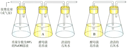 塑料型材的檢測過程總結的一些檢測方法_氫1氫2氫3用字母表示_過氧化氫檢測方法