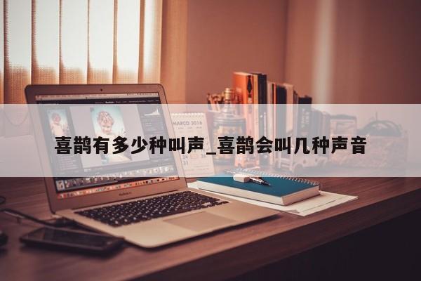 喜鵲有多少種叫聲_喜鵲會叫幾種聲音 第1張